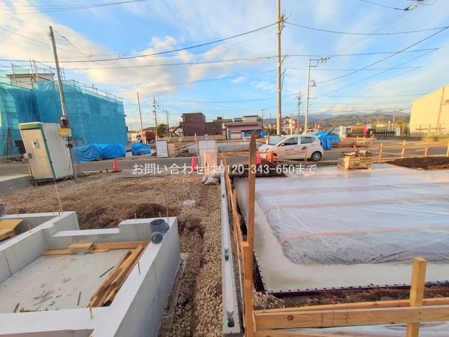 撮影日(2025-11-18 00:00:00)