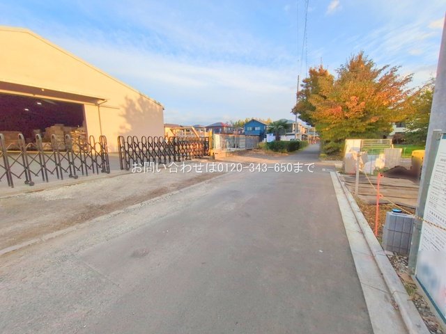 撮影日(2025-11-18 00:00:00)