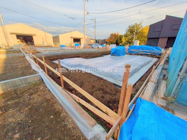 撮影日(2025-11-18 00:00:00)