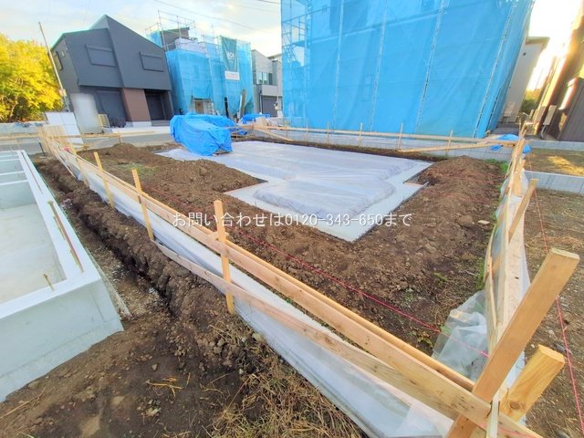 撮影日(2025-11-18 00:00:00)