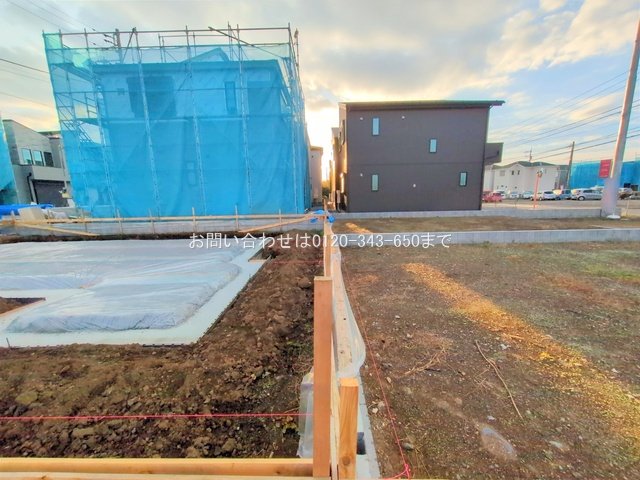 撮影日(2025-11-18 00:00:00)