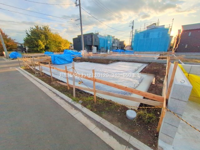 撮影日(2025-11-18)