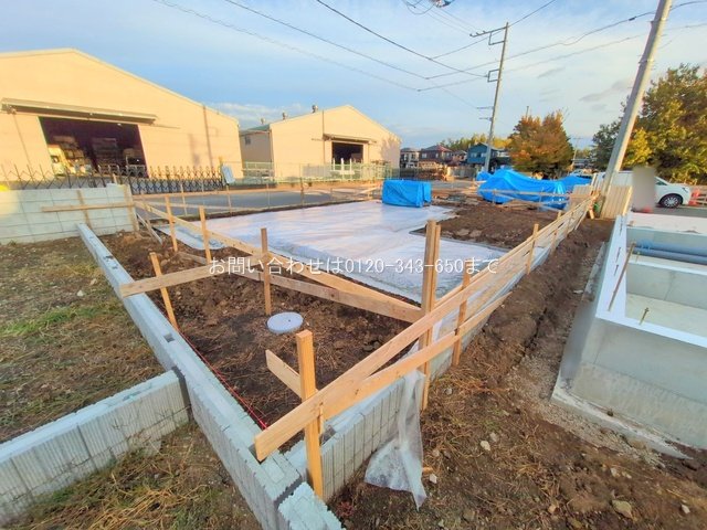 撮影日(2025-11-18 00:00:00)