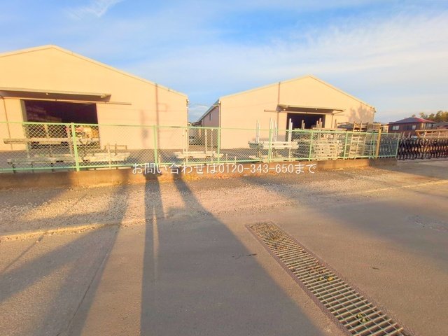 撮影日(2025-11-18 00:00:00)