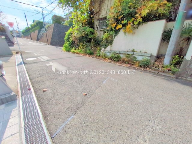 撮影日(2025-11-27 00:00:00)