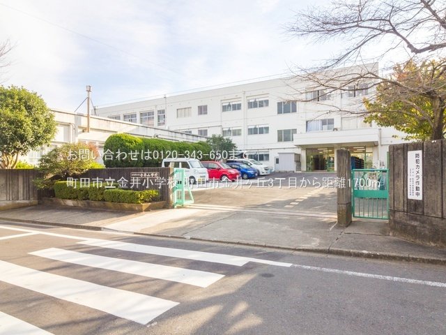 町田市立金井小学校 撮影日(2021-11-18) 1700m
