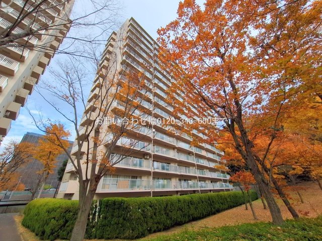 シーアイハイツ町田F棟 1001