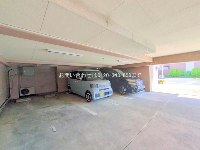 撮影日(2025-12-08 00:00:00)