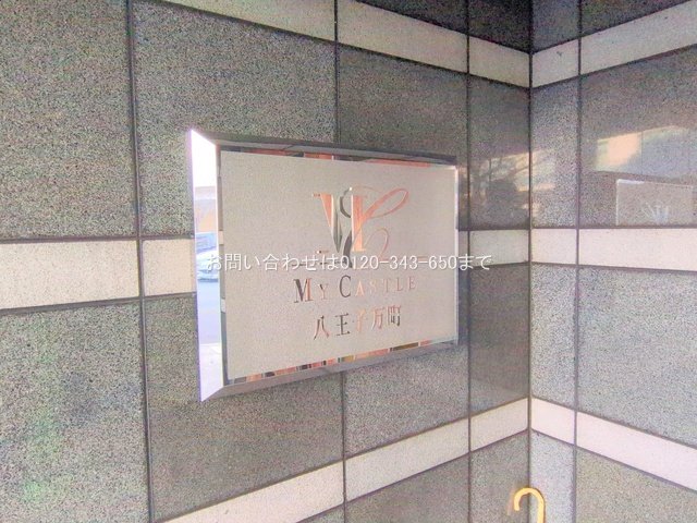 撮影日(2025-12-08 00:00:00)