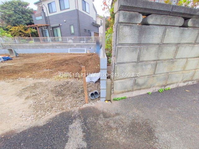 撮影日(2025-11-25 00:00:00)