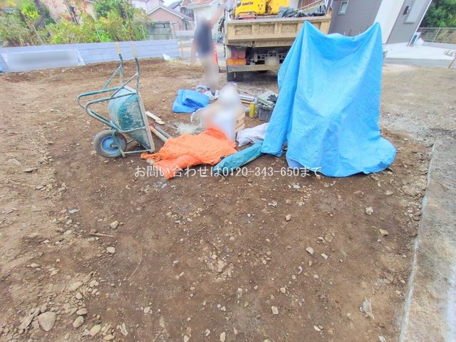 撮影日(2025-11-25 00:00:00)