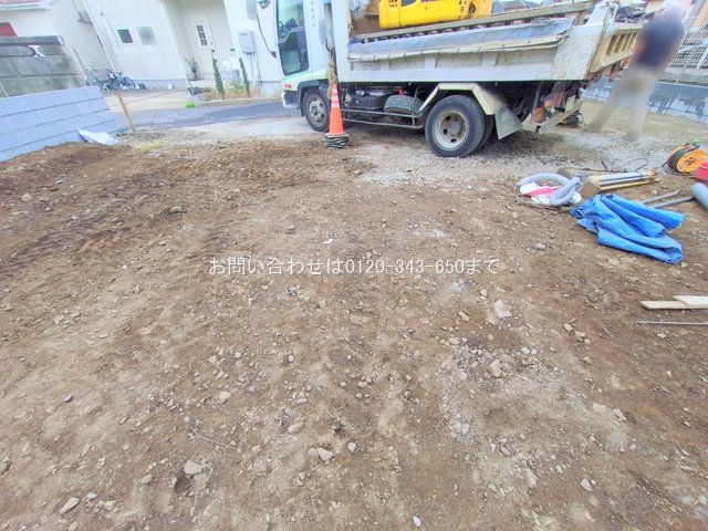 撮影日(2025-11-25 00:00:00)