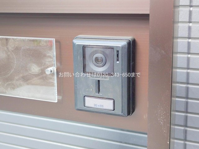 撮影日(2025-12-19 00:00:00)