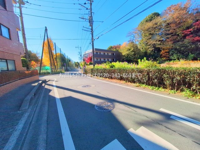 撮影日(2025-12-05 00:00:00)