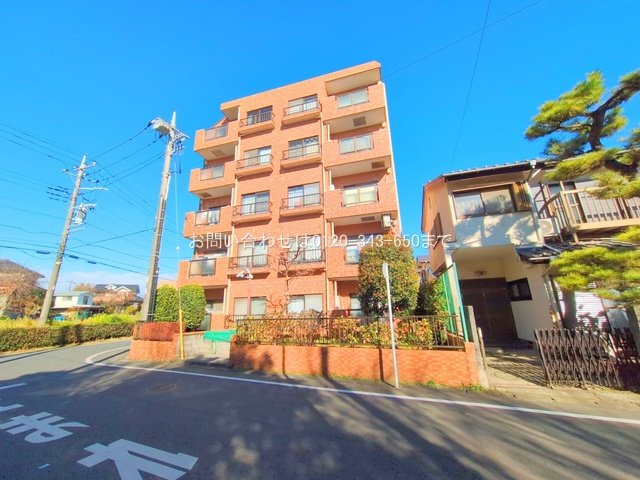 撮影日(2025-12-05 00:00:00)