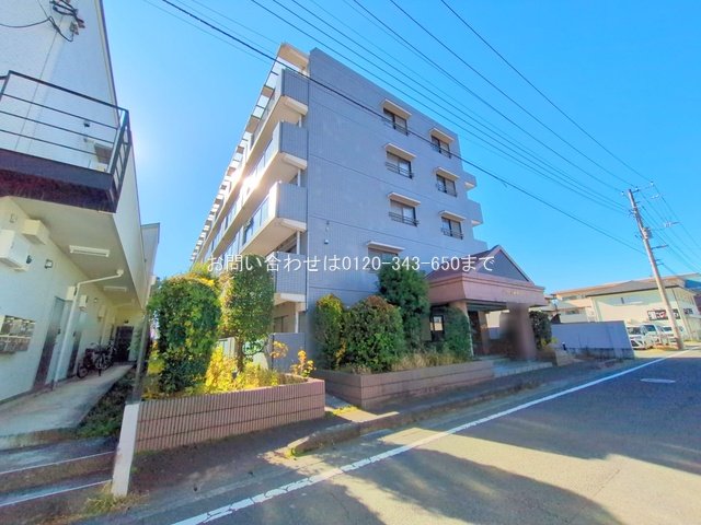 撮影日(2025-12-04)