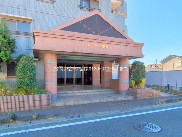 撮影日(2025-12-04 00:00:00)