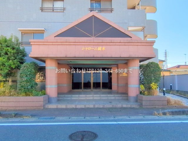 撮影日(2025-12-04)