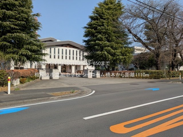 相模原市立旭中学校 撮影日(2025-03-25) 1110m