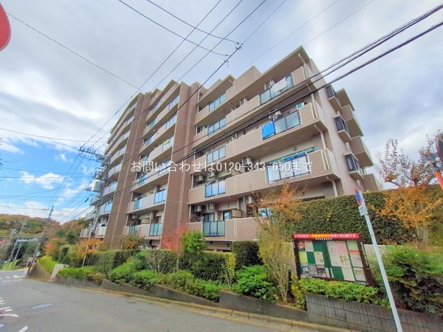 撮影日(2025-11-10)