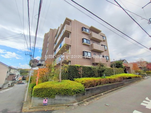 撮影日(2025-11-10 00:00:00)