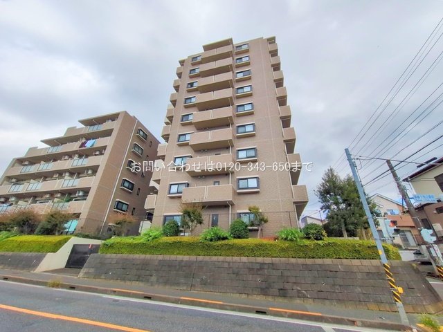 撮影日(2025-11-10 00:00:00)