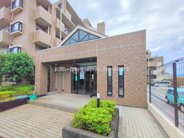 撮影日(2025-11-10)