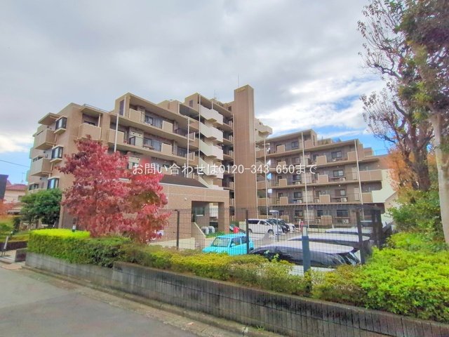 撮影日(2025-11-10 00:00:00)