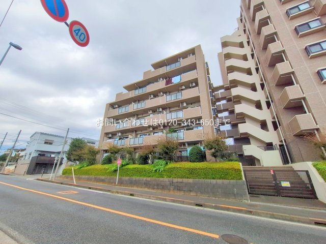 撮影日(2025-11-10 00:00:00)