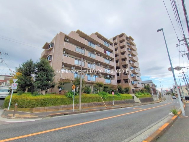 撮影日(2025-11-10 00:00:00)