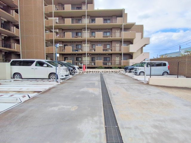 撮影日(2025-11-10 00:00:00)