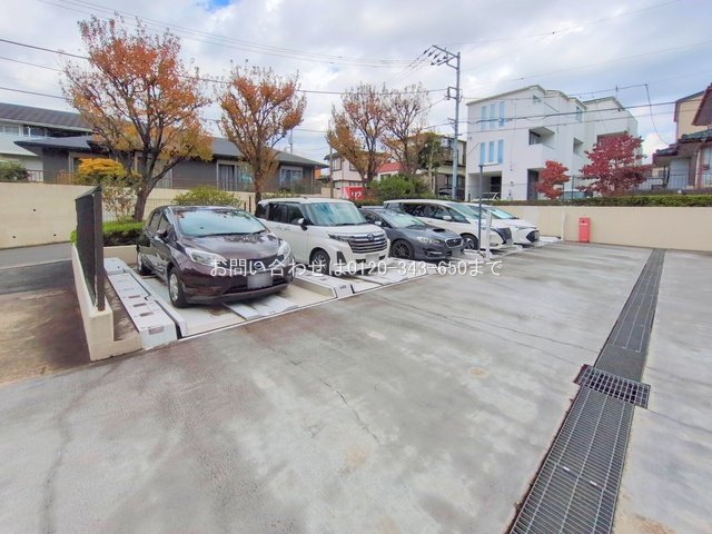 撮影日(2025-11-10 00:00:00)