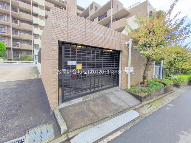 撮影日(2025-11-10 00:00:00)