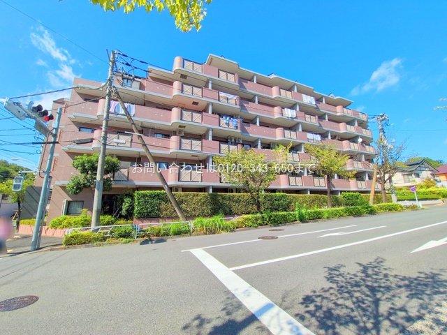 撮影日(2025-09-07)