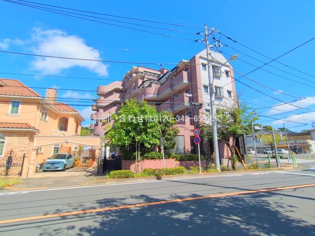 撮影日(2025-09-07 00:00:00)