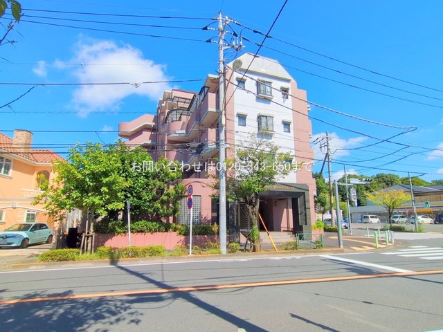 撮影日(2025-09-07 00:00:00)