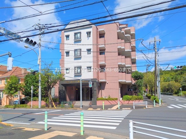 撮影日(2025-09-07 00:00:00)