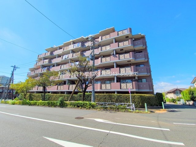 ライオンズマンション南大沢 203