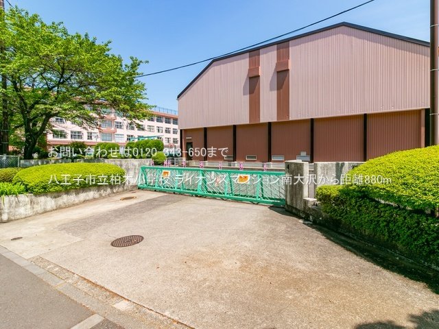 八王子市立柏木小学校 撮影日(2022-04-25) 880m