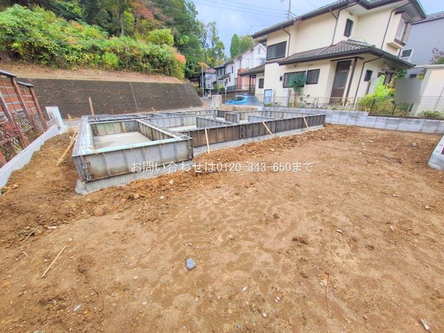 撮影日(2025-11-10 00:00:00)