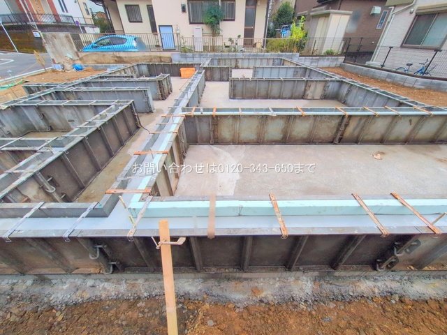 撮影日(2025-11-10 00:00:00)