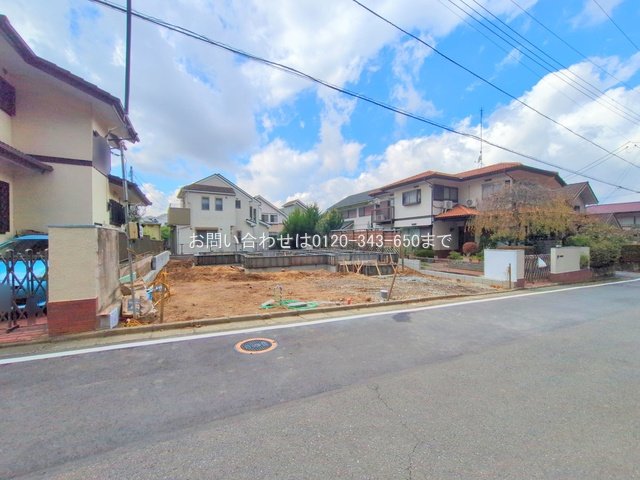 撮影日(2025-11-10 00:00:00)