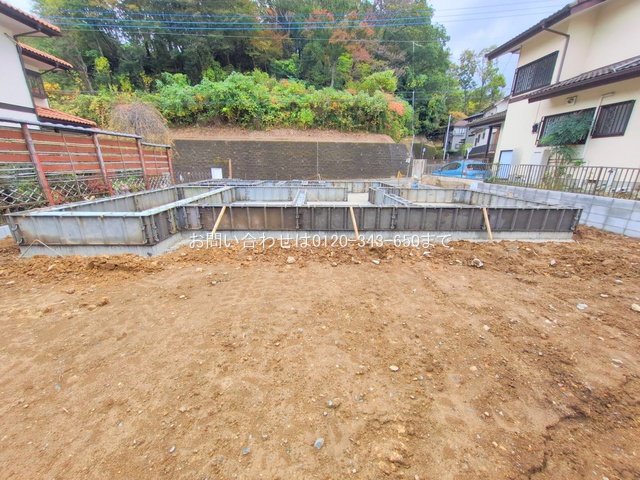 撮影日(2025-11-10 00:00:00)