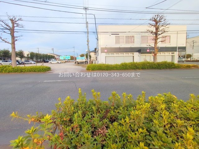 撮影日(2025-12-11 00:00:00)