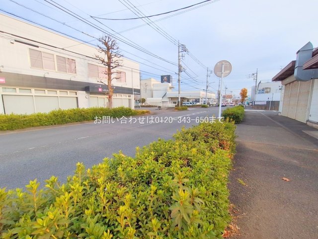 撮影日(2025-12-11 00:00:00)