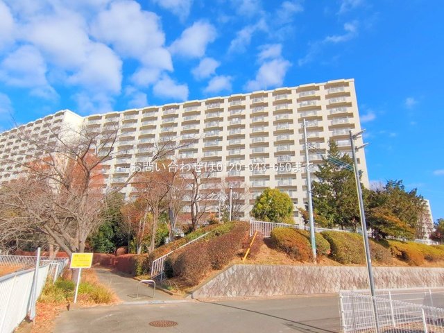 撮影日(2025-12-16)