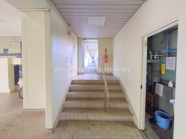 撮影日(2025-12-16 00:00:00)