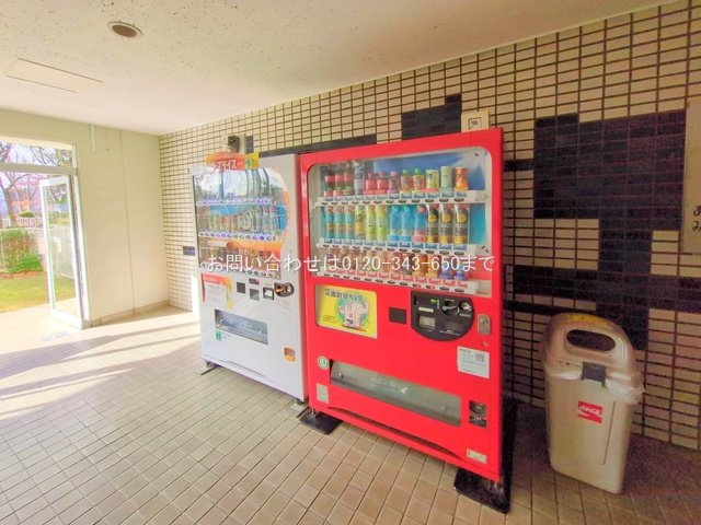 撮影日(2025-12-16 00:00:00)