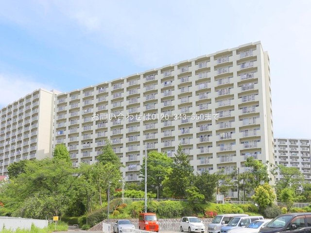 撮影日(2024-05-21 00:00:00)