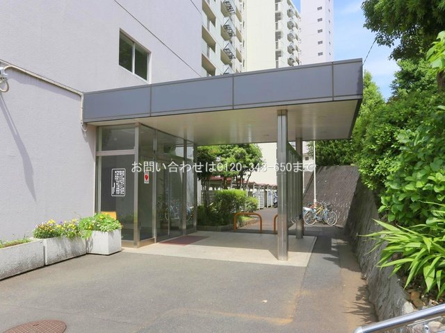 撮影日(2024-05-21 00:00:00)